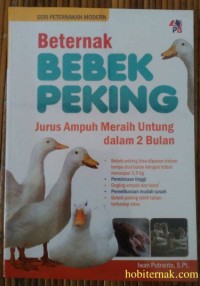 BETERNAK BEBEK PEKING