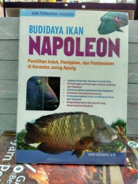 BUDIDAYAKAN IKAN NAPOLEON