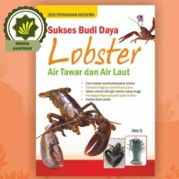 SUKSES BUDIDAYA LOBSTER AIR TAWAR DAN LAUT