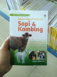 SUKSES USAHA PEMBIBITAN SAPI DAN KAMBING